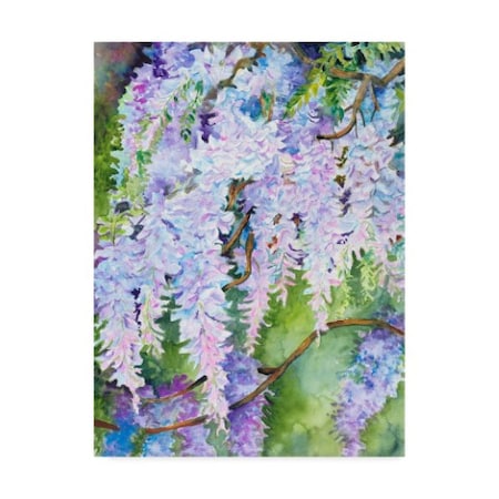 Joanne Porter 'Wisteria' Canvas Art,35x47